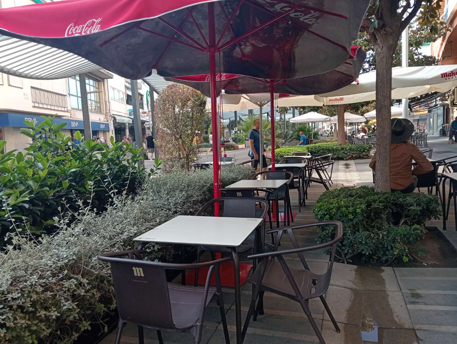 Cafeteria en transferència in Centro (Torremolinos)