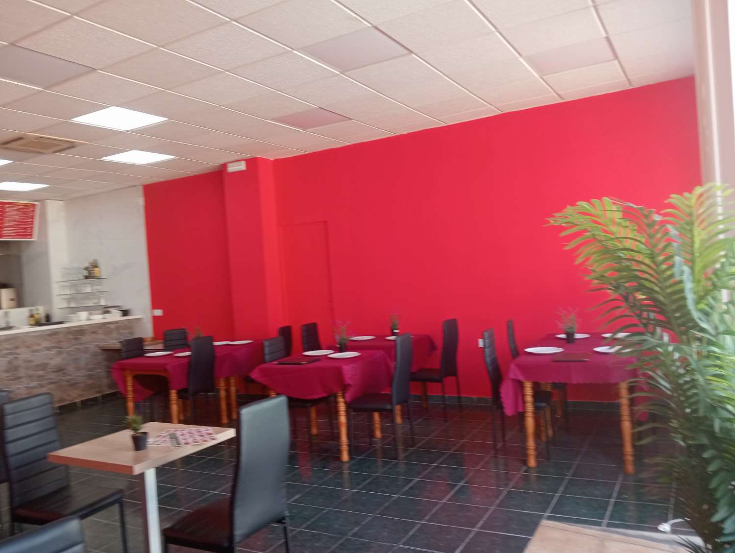 Cafeteria overførsel i Torremolinos